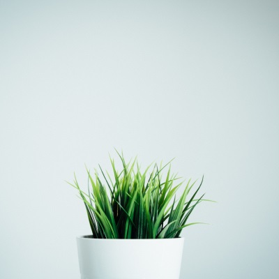 Met mindfulness leer je spanningen loslaten